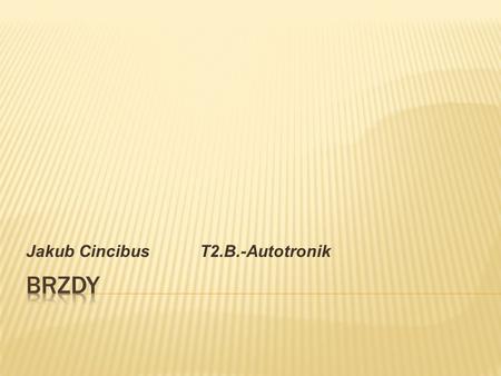 Jakub Cincibus T2.B.-Autotronik