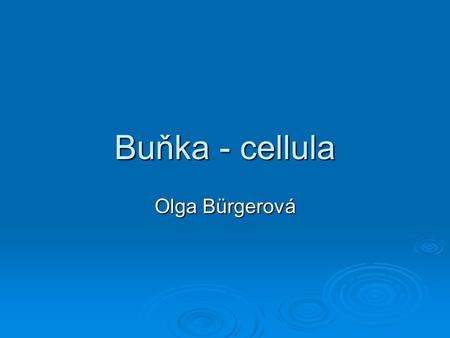 Buňka - cellula Olga Bürgerová.