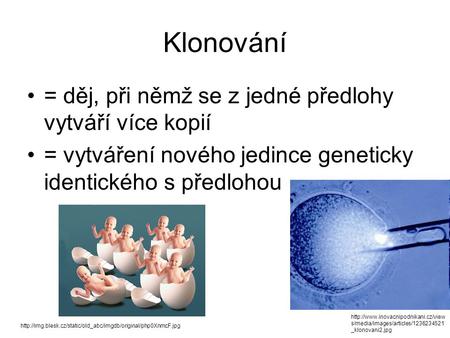 Klonování = děj, při němž se z jedné předlohy vytváří více kopií