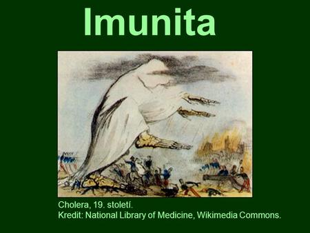 Imunita Cholera, 19. století.