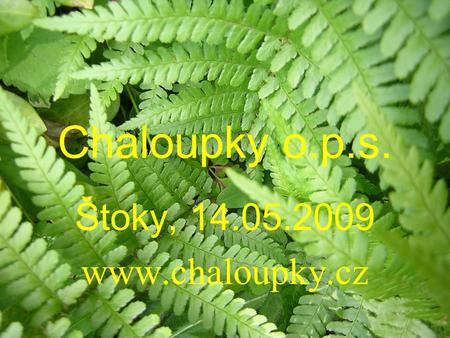 Chaloupky o.p.s. Štoky, 14.05.2009 www.chaloupky.cz.