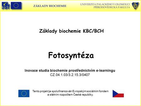 Základy biochemie KBC/BCH