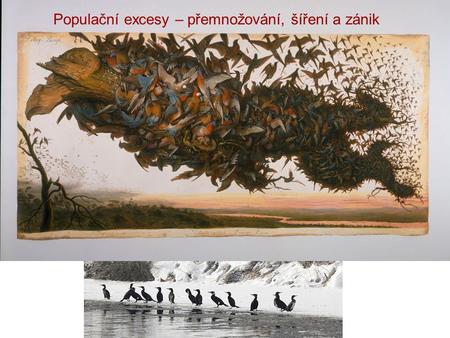 Populační excesy – přemnožování, šíření a zánik