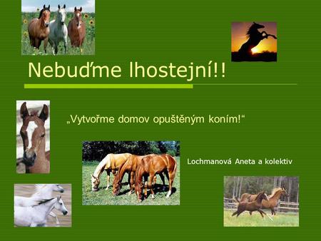 Nebuďme lhostejní!! „Vytvořme domov opuštěným koním!“ Lochmanová Aneta a kolektiv.
