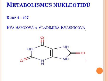 Metabolismus nukleotidů    Kurz Eva Samcová a Vladimíra Kvasnicová