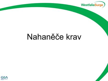 Nahaněče krav.