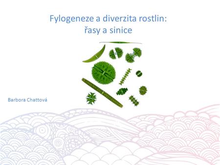 Fylogeneze a diverzita rostlin: řasy a sinice