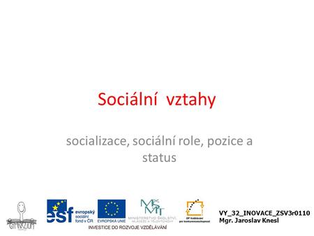 socializace, sociální role, pozice a status