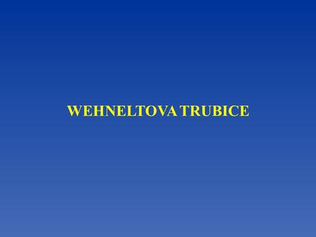 WEHNELTOVA TRUBICE.