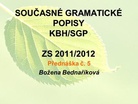 SOUČASNÉ GRAMATICKÉ POPISY KBH/SGP ZS 2011/2012 Přednáška č. 5 Božena Bednaříková.