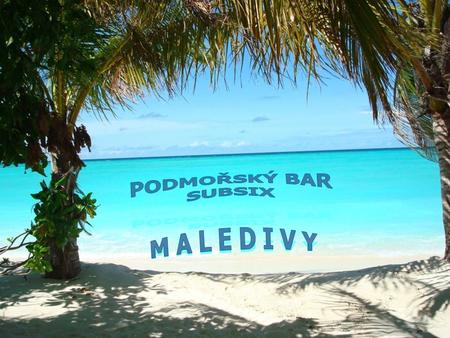 První podvodní bar na korálovém útesu láká na panoramatická okna První bar pod mořskou hladinou na světě se otevřel začátkem října na Maledivách -