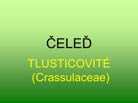 TLUSTICOVITÉ (Crassulaceae)