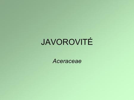 JAVOROVITÉ Aceraceae.