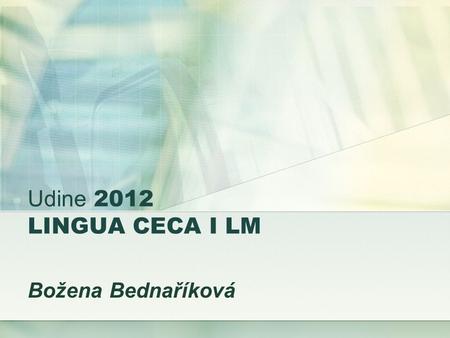 Udine 2012 LINGUA CECA I LM Božena Bednaříková. P6 Funkce českého pádu.