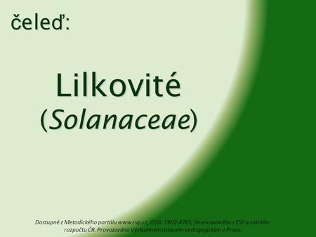 Lilkovité (Solanaceae)