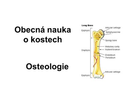 Obecná nauka o kostech Osteologie.