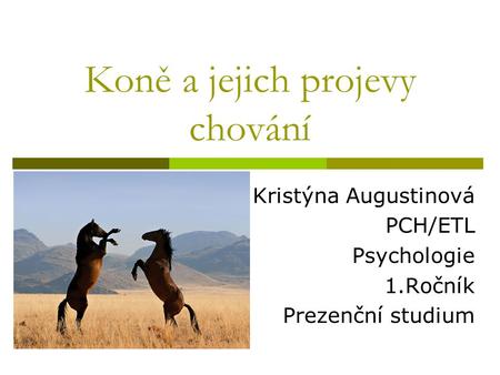Koně a jejich projevy chování Kristýna Augustinová PCH/ETL Psychologie 1.Ročník Prezenční studium.