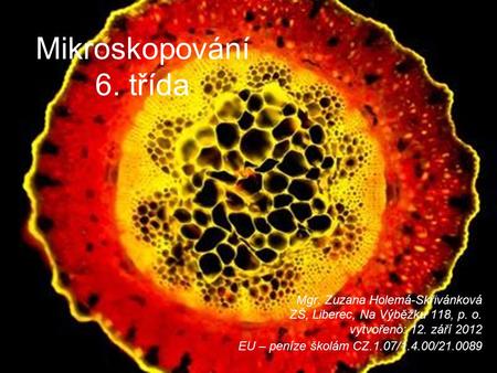 Mikroskopování 6. třída Mgr. Zuzana Holemá-Skřivánková