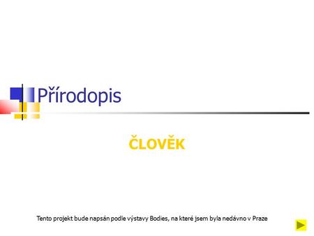 Přírodopis ČLOVĚK Tento projekt bude napsán podle výstavy Bodies, na které jsem byla nedávno v Praze.