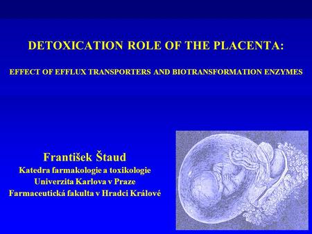 DETOXICATION ROLE OF THE PLACENTA: EFFECT OF EFFLUX TRANSPORTERS AND BIOTRANSFORMATION ENZYMES František Štaud Katedra farmakologie a toxikologie Univerzita.