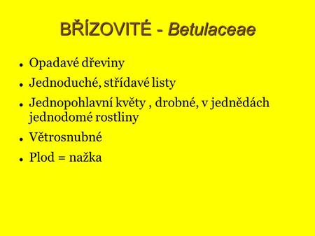 BŘÍZOVITÉ - Betulaceae