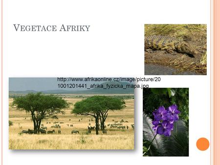Vegetace Afriky http://www.afrikaonline.cz/image/picture/201001201441_afrika_fyzicka_mapa.jpg.