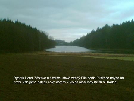 Rybník Horní Zástava u Sedlice lidově zvaný Pila podle Pilského mlýna na hrázi. Zde jsme nalezli nový domov v lesích mezi lesy Křídlí a Hradec. Rybník.