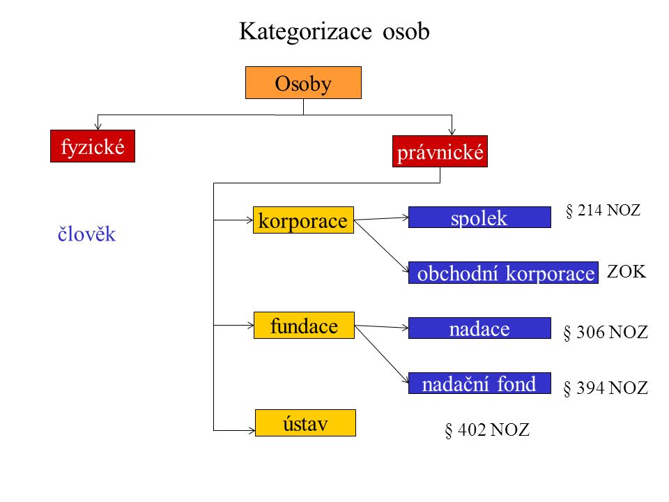 Jak se dělí korporace?