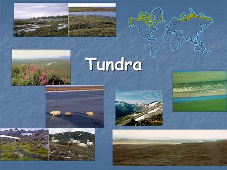 Tundra.