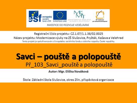 Savci – pouště a polopouště