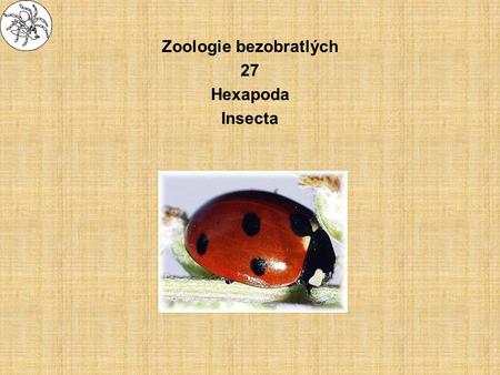 Zoologie bezobratlých 27 Hexapoda Insecta