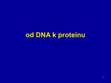 Od DNA k proteinu.