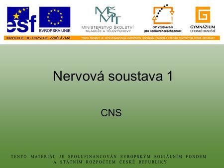 Nervová soustava 1 CNS.