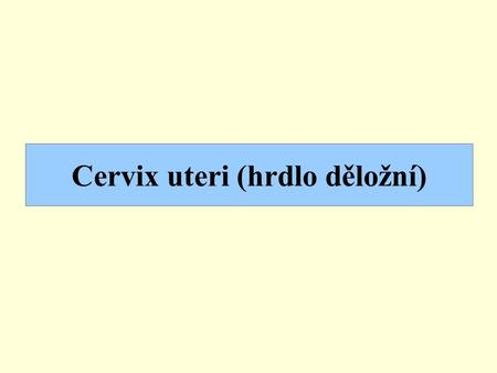 Cervix uteri (hrdlo děložní)