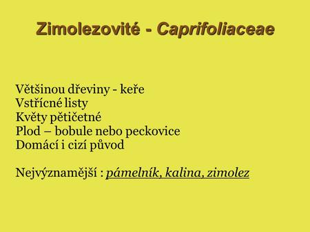 Zimolezovité - Caprifoliaceae