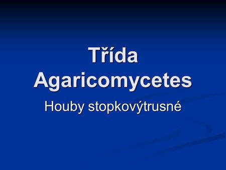 Třída Agaricomycetes Houby stopkovýtrusné.
