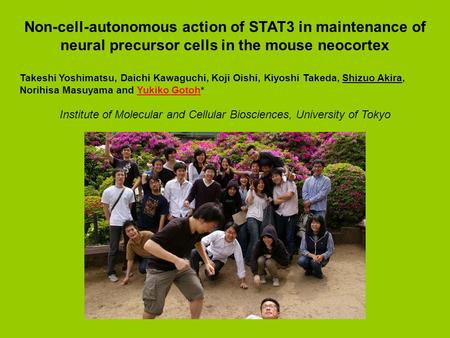 Non-cell-autonomous action of STAT3 in maintenance of neural precursor cells in the mouse neocortex Takeshi Yoshimatsu, Daichi Kawaguchi, Koji Oishi, Kiyoshi.