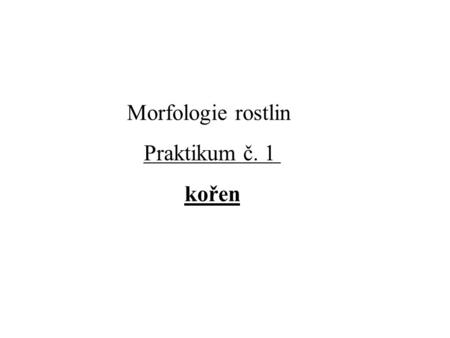 Morfologie rostlin Praktikum č. 1 kořen.