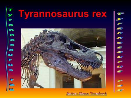 Tyrannosaurus rex Tyrannosaurus rex Tyrannosaurus rex
