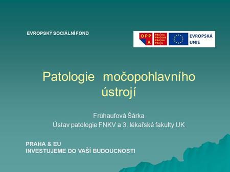 Patologie močopohlavního ústrojí