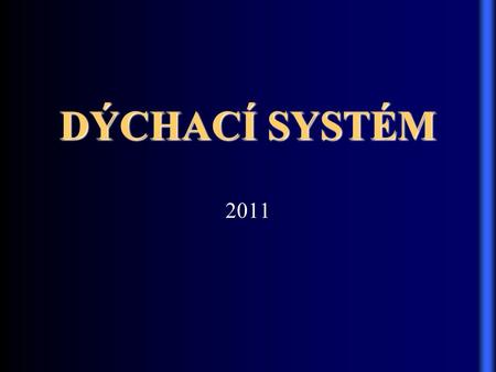 2011 DÝCHACÍ SYSTÉM.