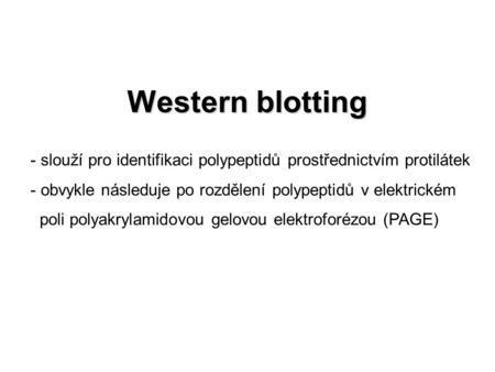 Western blotting slouží pro identifikaci polypeptidů prostřednictvím protilátek obvykle následuje po rozdělení polypeptidů v elektrickém poli polyakrylamidovou.