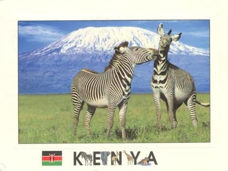 Základní údaje Oficiální název : Republic of Kenya