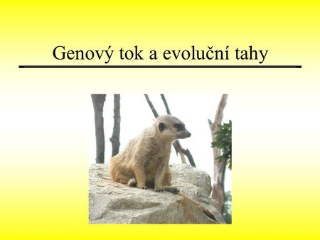 Genový tok a evoluční tahy