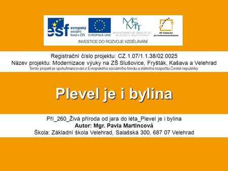 Plevel je i bylina Registrační číslo projektu: CZ.1.07/1.1.38/