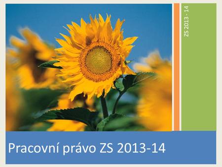 ZS 2013 - 14 Pracovní právo ZS 2013-14.