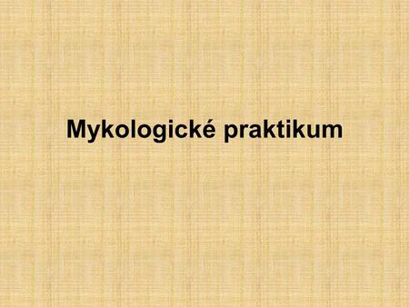 Mykologické praktikum