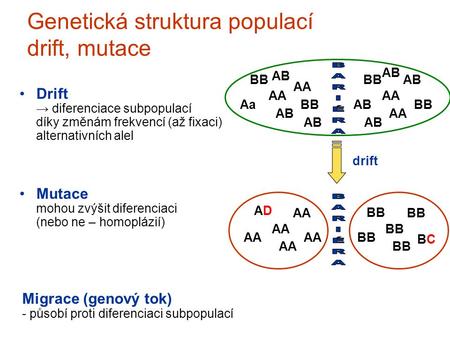 Genetická struktura populací drift, mutace