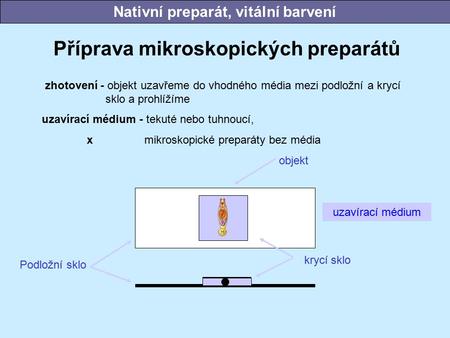 Nativní preparát, vitální barvení