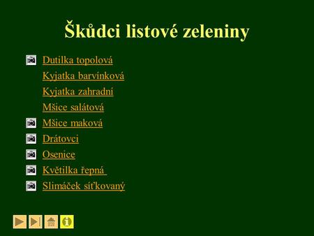 Škůdci listové zeleniny